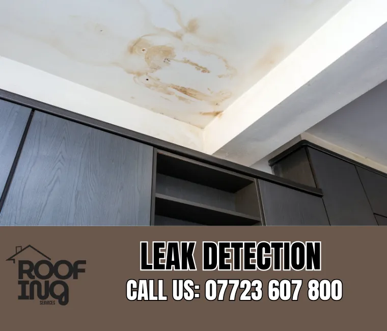 Roof leak detection and repair in Tavistock